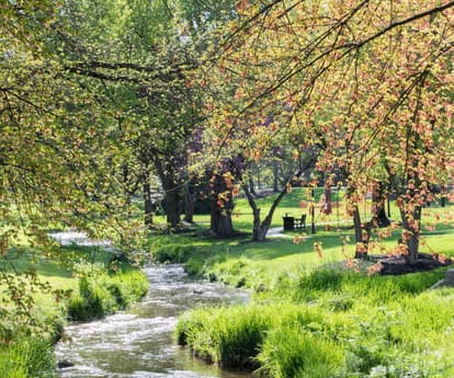 Retail_Focus on Grow_ServiceDev_resize_527X791_resize_500X600.jpg